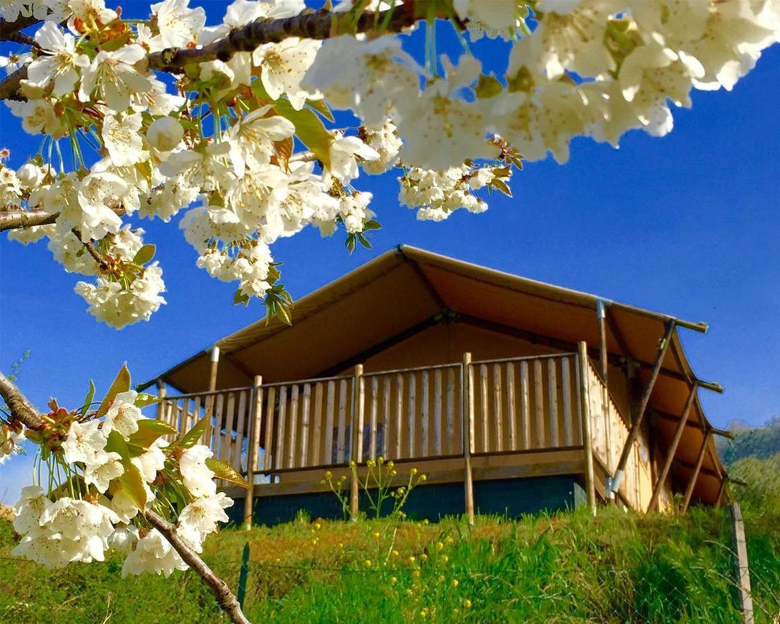 Villaladiva Boutique Glamping Massignano Extérieur photo
